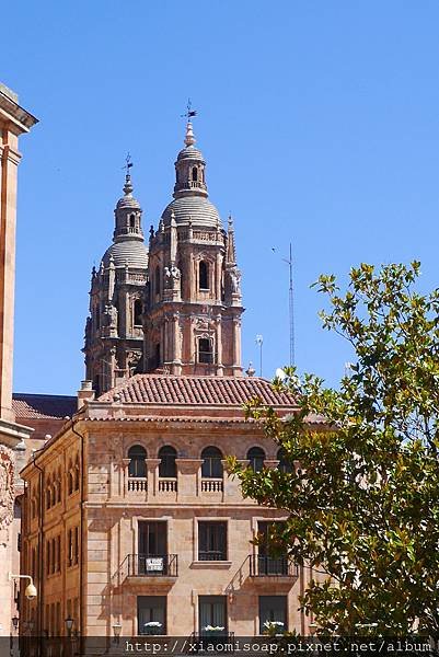 P1060643.JPG
