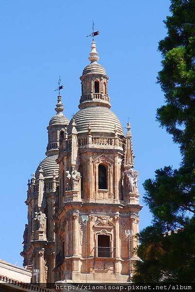P1060646.JPG