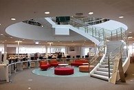 Library 2.jpg