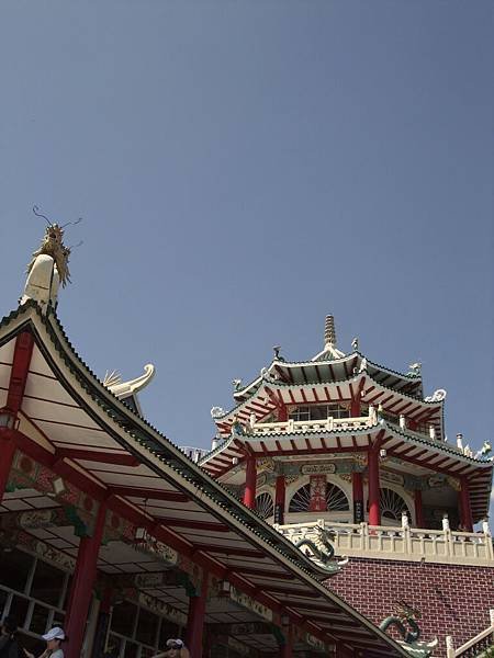 DSCF6005