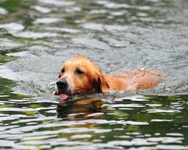 DSC_1064.JPG