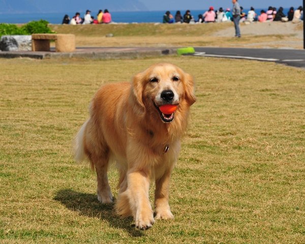 DSC_1810.JPG