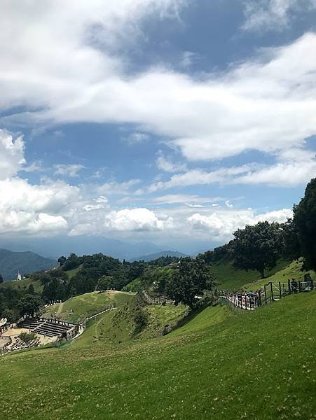 青青草原