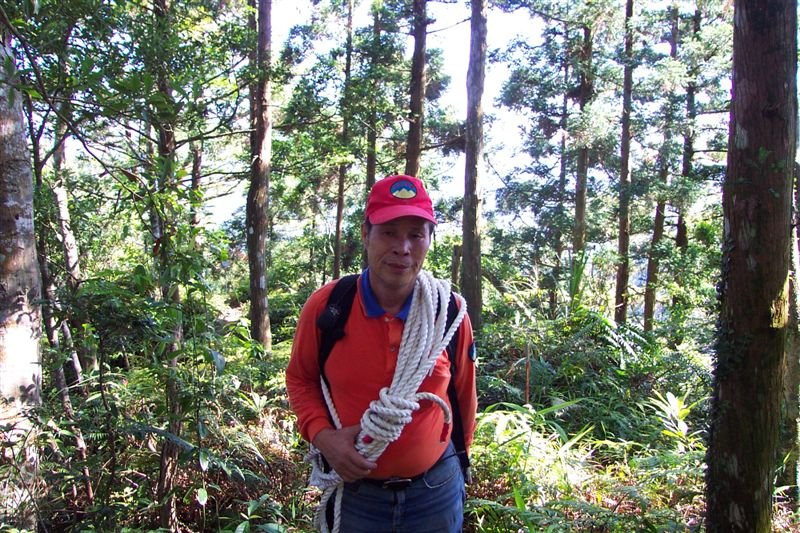 油杉林步道倒吊嶺山 017.jpg