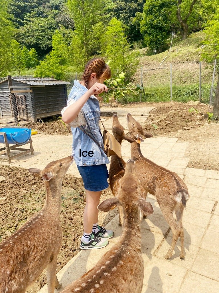 🦌羽松 修_210426_27.jpg