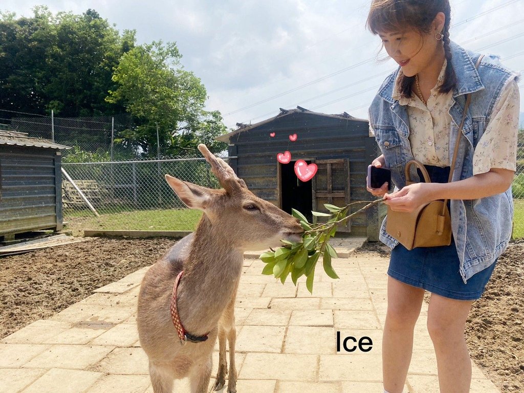 🦌羽松 修_210426_39.jpg