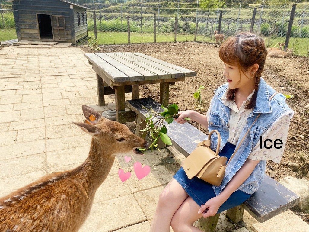 🦌羽松 修_210426_41.jpg