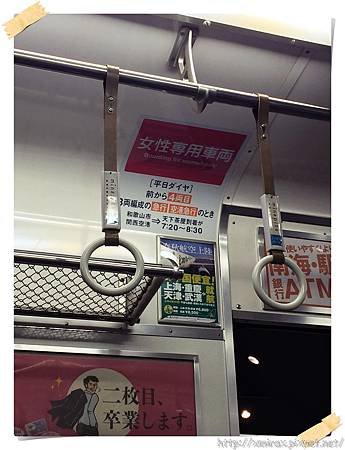 IMG_1542 (blog 01).JPG