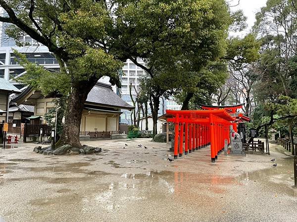 LINE_ALBUM_20240229-0305 九州福岡、熊本-我又帶雨神來了😂_240306_29.jpg