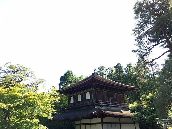 LINE_ALBUM_0520-0524狐狸開水京都大冒險_241201_182.jpg