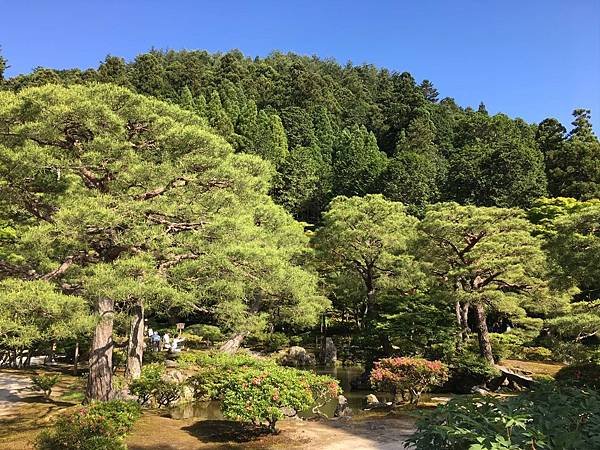 LINE_ALBUM_0520-0524狐狸開水京都大冒險_241201_179.jpg