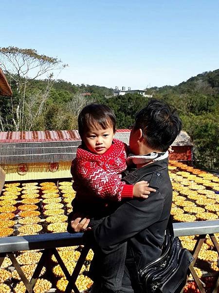 新竹景點 新埔美食 味衛佳 柿餅 觀光農場 Little Bear&apos;s Life