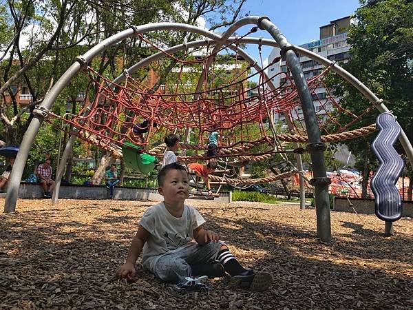 佳和 天和 樹德公園 共融公園 特色公園  Little Bear&apos;s Life 