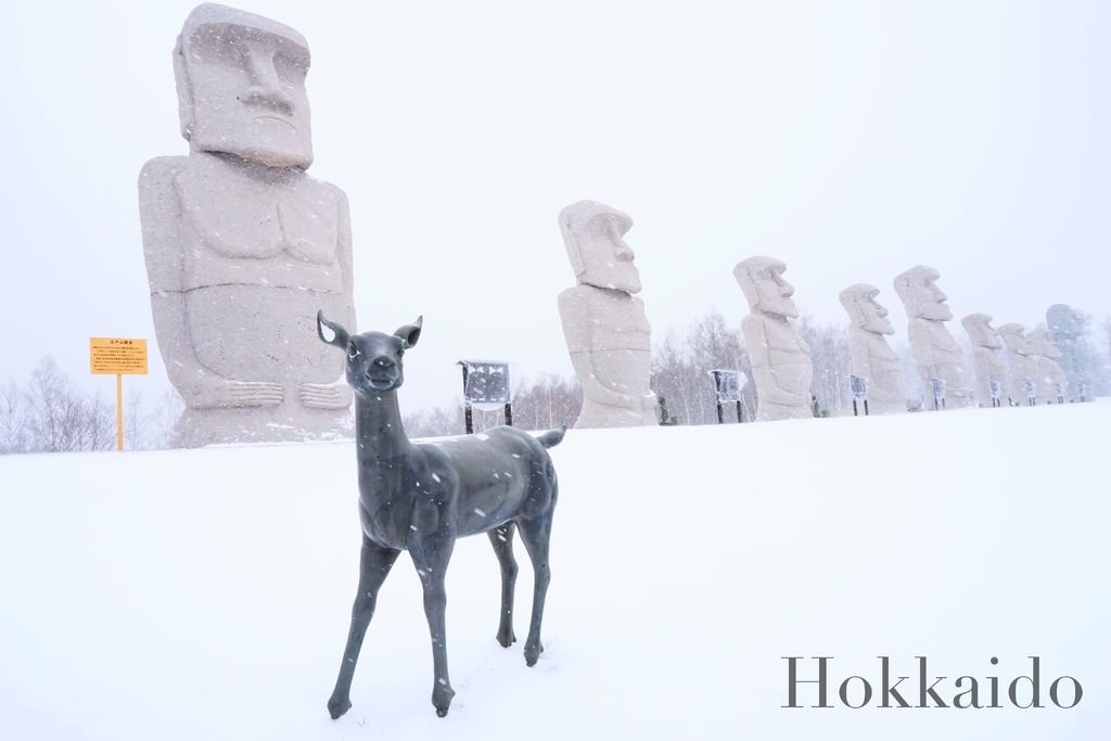 hokkaido2.jpg