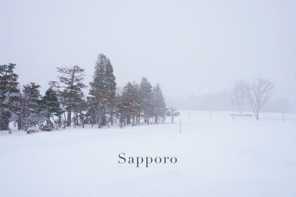 sapporo_snow4.jpg