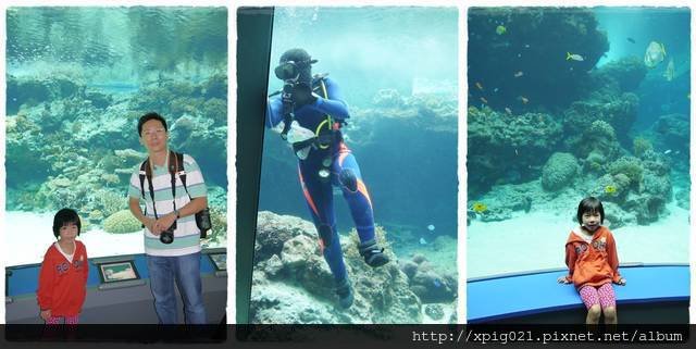 2012沖繩(15)D3-沖繩美之海水族館I