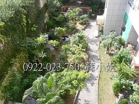 DSCN3751 (2)
