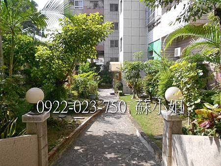 DSCN3753 (2)