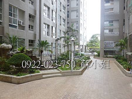 P1100302 (2)