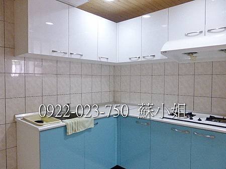 P1100355 (2)