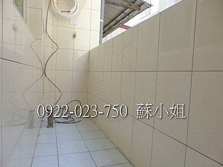 P1100393 (2)