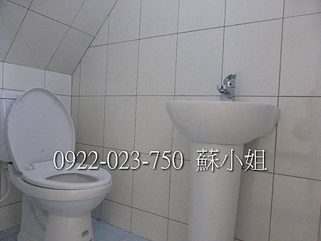 P1100382 (2)