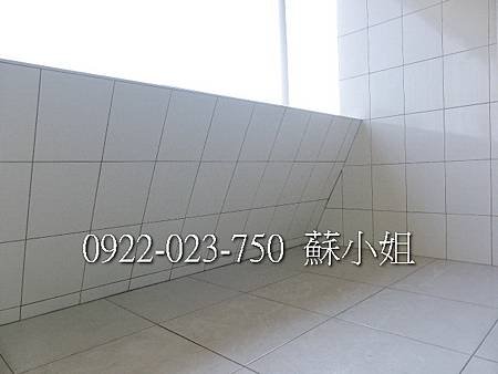 P1100411 (2)