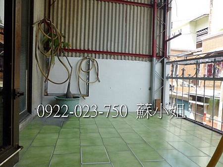 P1100658 (2)