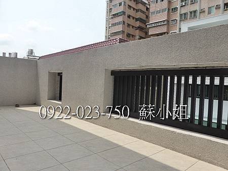 P1110806 (2)