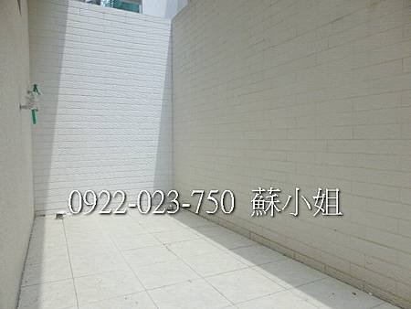 P1110787 (2)