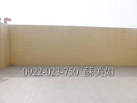 P1190924 (2)