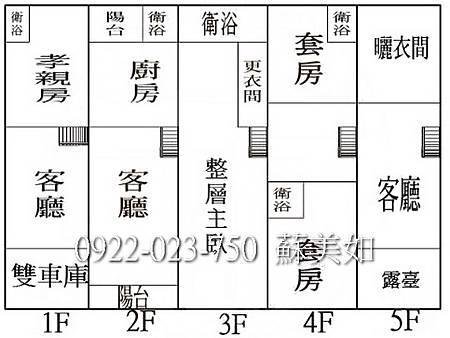 星鑽特區雙車庫豪宅格局圖 (2)