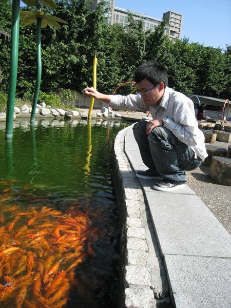 餵魚