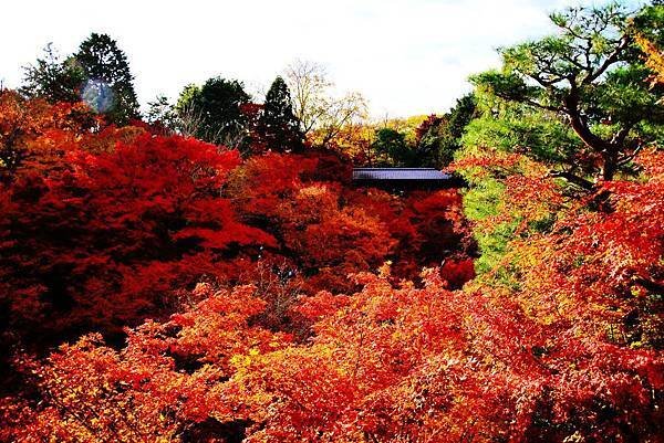 東福寺