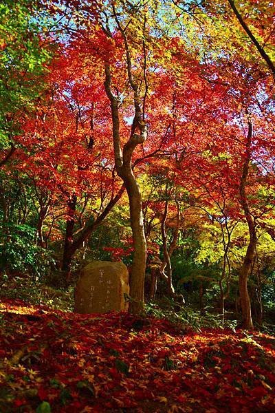 瑞宝寺公園