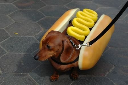 weiner_costume.jpg