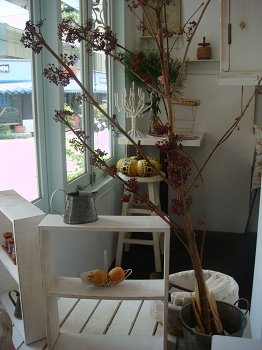 nEO_IMG_DSC03061.jpg
