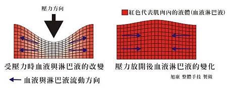 肌肉受壓力血液變化.jpg