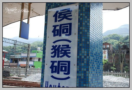 猴洞貓村4.JPG