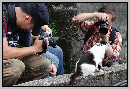 猴洞貓村21.JPG