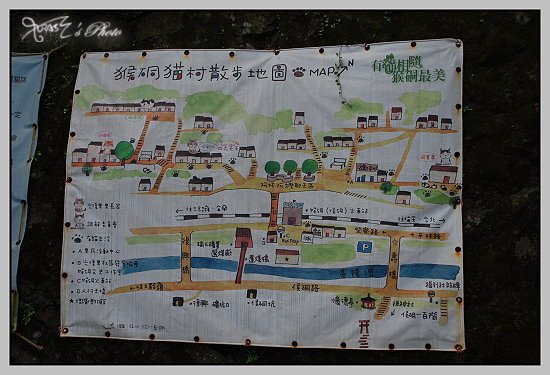 猴洞貓村13.JPG