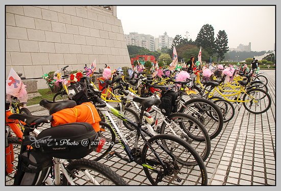 336愛奇兒5.JPG