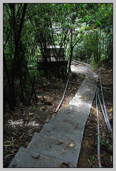 猴洞貓村28.JPG