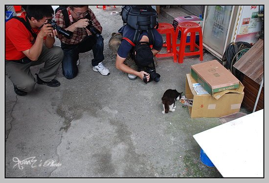 猴洞貓村19.JPG