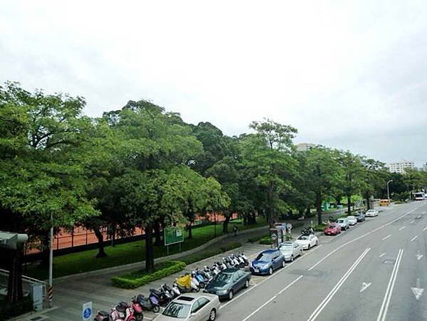 IMG_1949.JPG