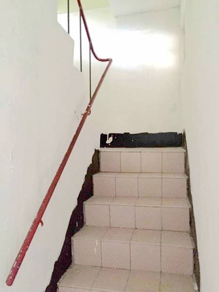杏林路_3.jpg