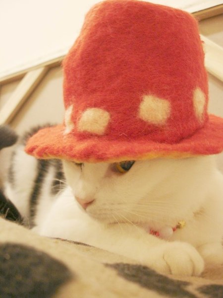 081201 259.jpg