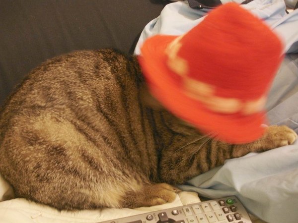 081201 260.jpg