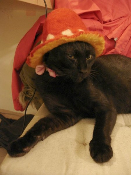 081201 263.jpg