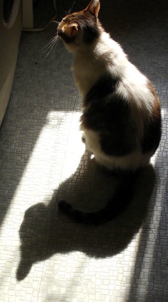 090413 049.jpg